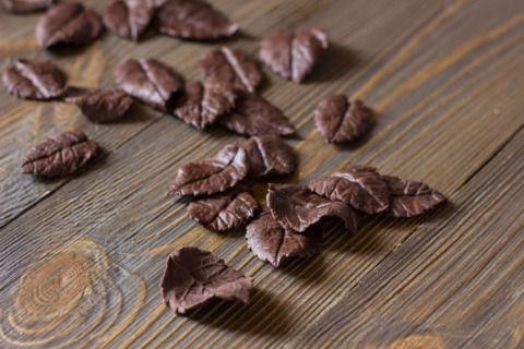Шоколадные листья