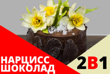 АКЦИЯ: 2 ВИДЕО МК (шоколад + нарцисс) ЗА 1399 АКЦИЯ: 2 ВИДЕО МК (шоколад + нарцисс) ЗА 1399