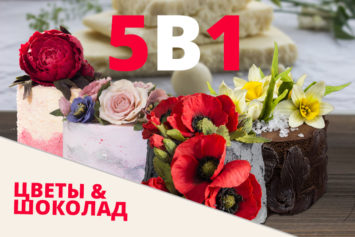 АКЦИЯ: 5 ВИДЕО МК АКЦИЯ: 5 ВИДЕО МК