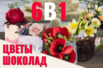 АКЦИЯ: 6 ВИДЕО МК АКЦИЯ: 6 ВИДЕО МК