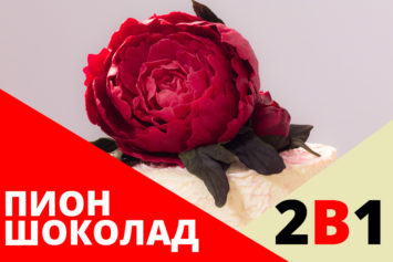 АКЦИЯ: 2 ВИДЕО МК (шоколад + пион) ЗА 1399 АКЦИЯ: 2 ВИДЕО МК (шоколад + пион) ЗА 1399