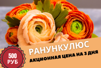 ВИДЕО МК по шоколадному ранункулюсу (лютику) ВИДЕО МК по шоколадному ранункулюсу (лютику)